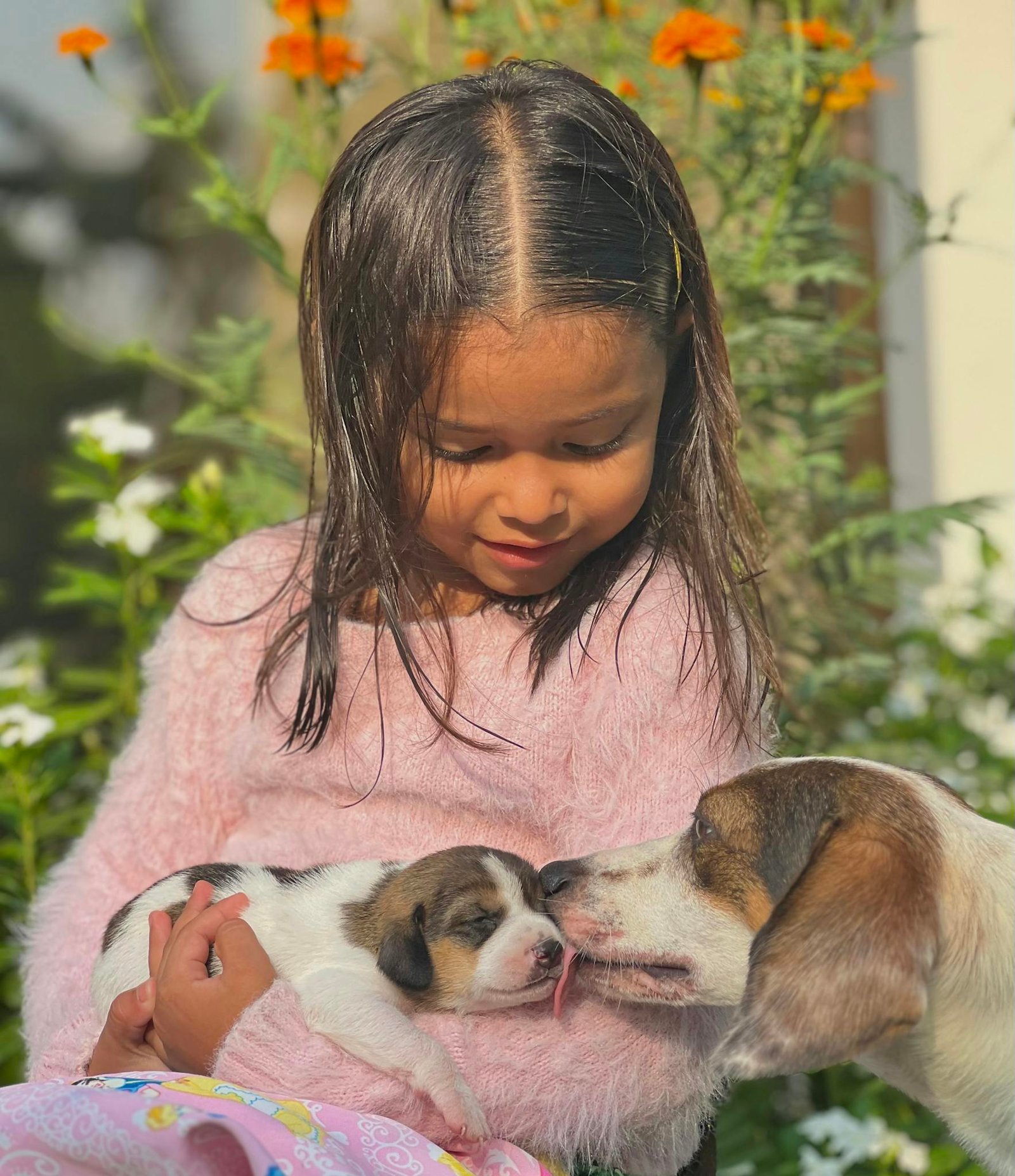 A little girl holds a puppy as a dog gently nuzzles it outdoors.